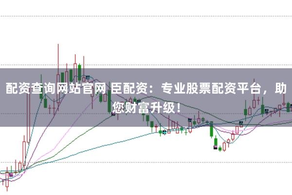 配资查询网站官网 臣配资：专业股票配资平台，助您财富升级！