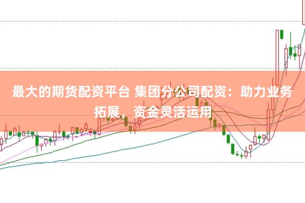 最大的期货配资平台 集团分公司配资：助力业务拓展，资金灵活运用