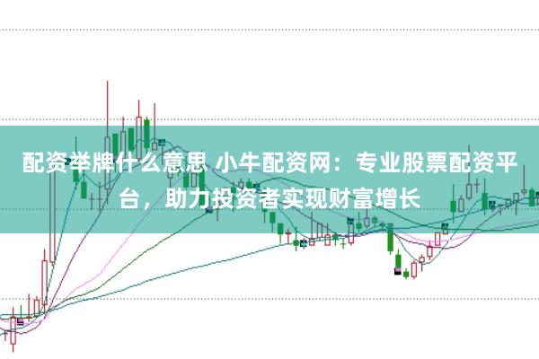 配资举牌什么意思 小牛配资网：专业股票配资平台，助力投资者实现财富增长