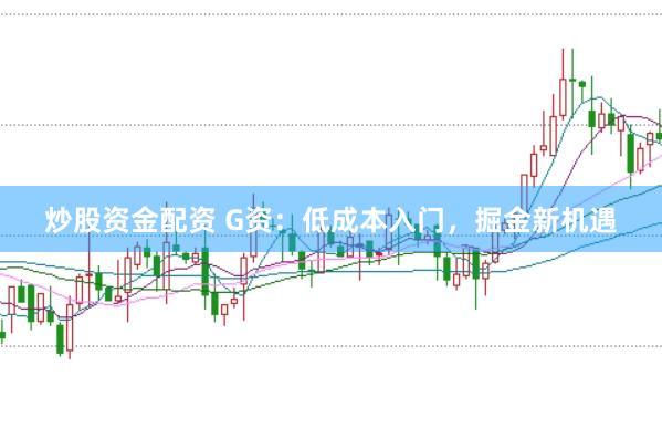 炒股资金配资 G资：低成本入门，掘金新机遇