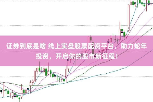 证券到底是啥 线上实盘股票配资平台，助力蛇年投资，开启你的股市新征程！