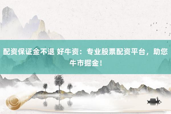 配资保证金不退 好牛资：专业股票配资平台，助您牛市掘金！