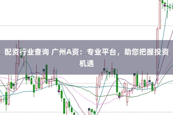 配资行业查询 广州A资：专业平台，助您把握投资机遇