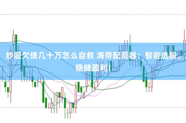 炒股欠债几十万怎么自救 海带配资器：智能选股，稳健盈利！