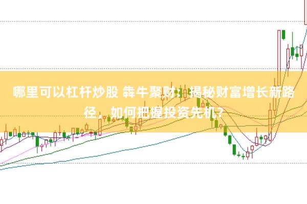 哪里可以杠杆炒股 犇牛聚财:揭秘财富增长新路径,如何把握投资先机?
