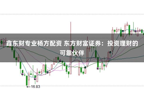 鑫东财专业杨方配资 东方财富证券:投资理财的可靠伙伴