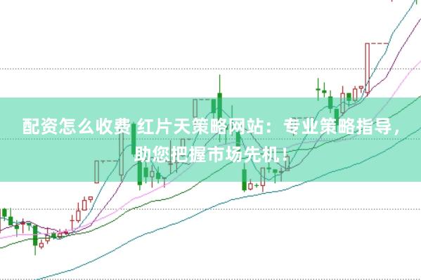 配资怎么收费 红片天策略网站:专业策略指导,助您把握市场先机!