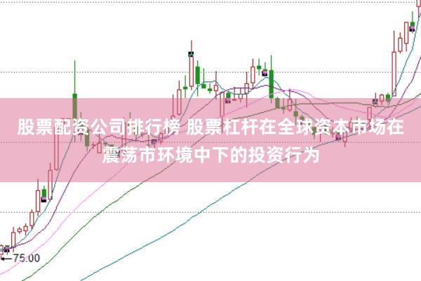 股票配资公司排行榜 股票杠杆在全球资本市场在震荡市环境中下的投资行为