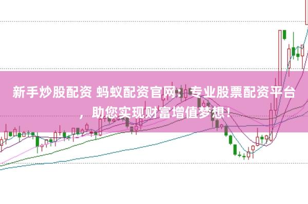 新手炒股配资 蚂蚁配资官网:专业股票配资平台,助您实现财富增值梦想!