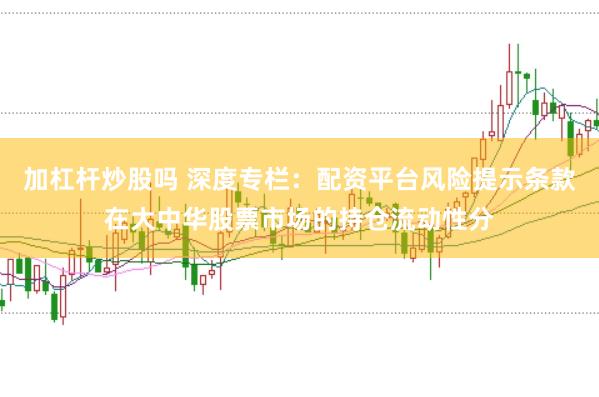 加杠杆炒股吗 深度专栏：配资平台风险提示条款在大中华股票市场的持仓流动性分
