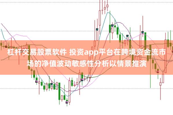 杠杆交易股票软件 投资app平台在跨境资金流市场的净值波动敏感性分析以情景推演