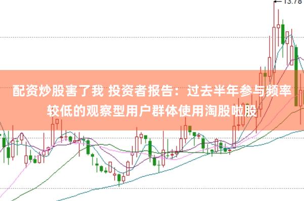 配资炒股害了我 投资者报告：过去半年参与频率较低的观察型用户群体使用淘股啦股