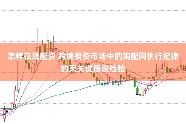 怎样在线配资 跨境投资市场中的淘配网执行纪律约束关键假设检验