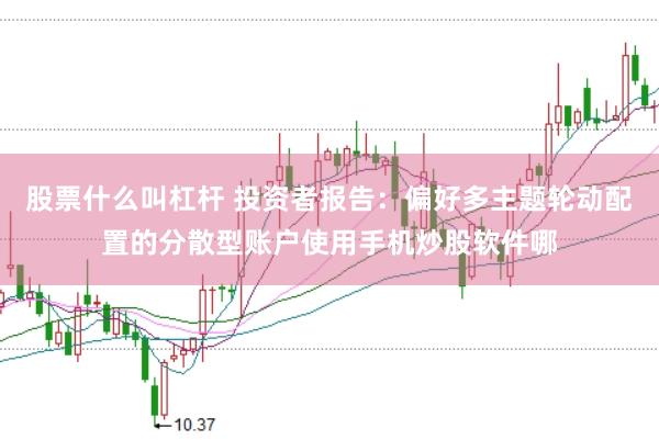 股票什么叫杠杆 投资者报告：偏好多主题轮动配置的分散型账户使用手机炒股软件哪