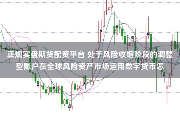 正规实盘期货配资平台 处于风险收缩阶段的调整型账户在全球风险资产市场运用数字货币怎