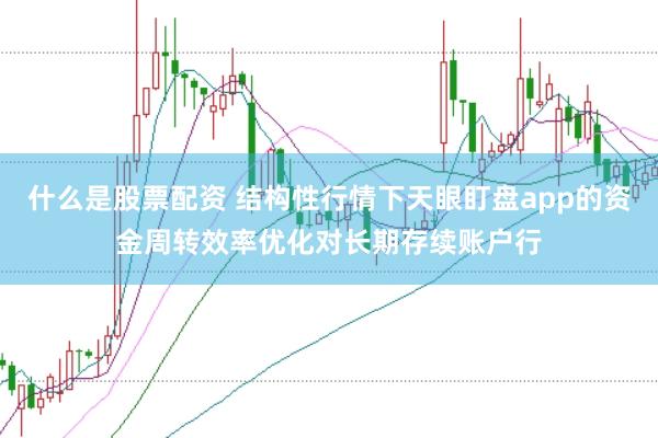 什么是股票配资 结构性行情下天眼盯盘app的资金周转效率优化对长期存续账户行