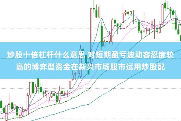 炒股十倍杠杆什么意思 对短期盈亏波动容忍度较高的博弈型资金在新兴市场股市运用炒股配