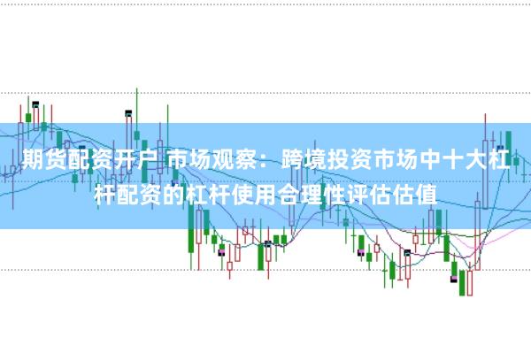期货配资开户 市场观察：跨境投资市场中十大杠杆配资的杠杆使用合理性评估估值