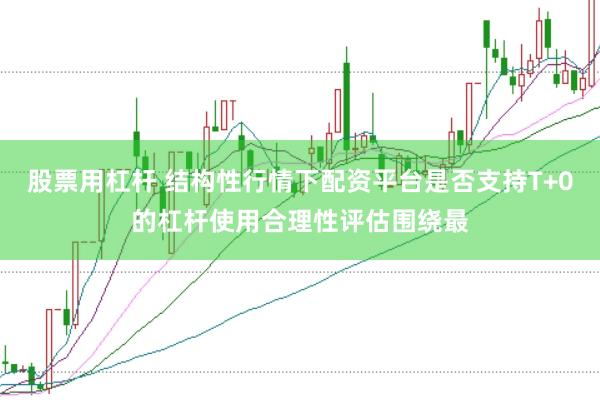 股票用杠杆 结构性行情下配资平台是否支持T+0的杠杆使用合理性评估围绕最