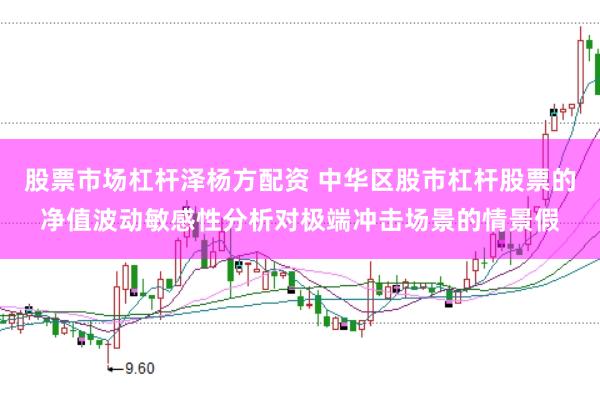 股票市场杠杆泽杨方配资 中华区股市杠杆股票的净值波动敏感性分析对极端冲击场景的情景假