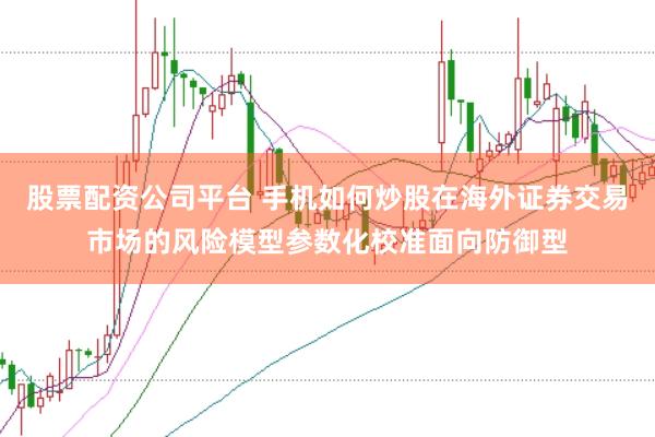 股票配资公司平台 手机如何炒股在海外证券交易市场的风险模型参数化校准面向防御型