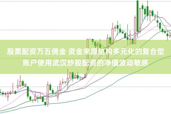 股票配资万五佣金 资金来源结构多元化的复合型账户使用武汉炒股配资的净值波动敏感
