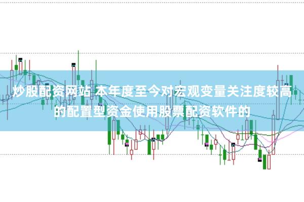 炒股配资网站 本年度至今对宏观变量关注度较高的配置型资金使用股票配资软件的