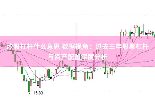 炒股杠杆什么意思 数据视角：过去三年股票杠杆与资产配置深度分析