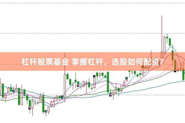 杠杆股票基金 掌握杠杆，选股如何配资？