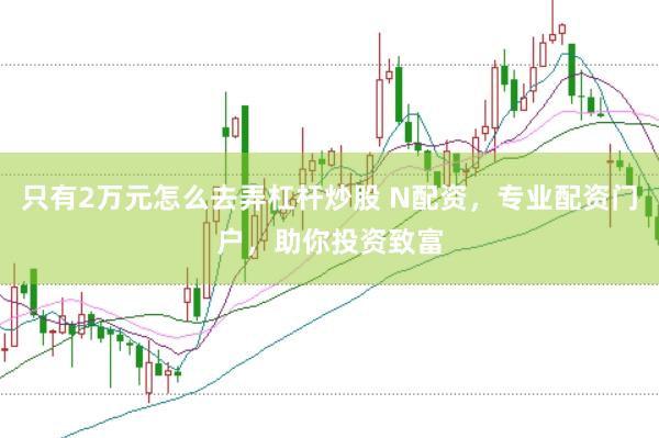 只有2万元怎么去弄杠杆炒股 N配资，专业配资门户，助你投资致富